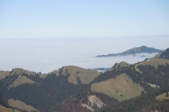 DSCN0317