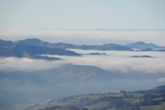 DSCN0319