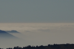 DSCN0329