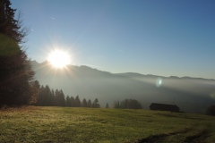 DSCN0332