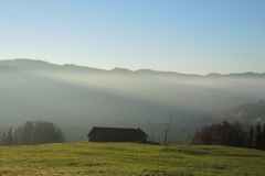 DSCN0333