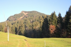 DSCN0334