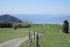 DSCN0591