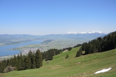 DSCN0592