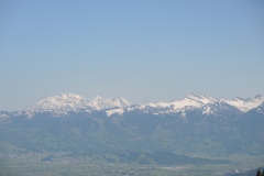 DSCN0593