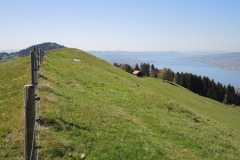 DSCN0594
