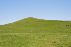 DSCN0598