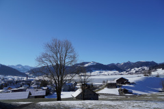DSC00962