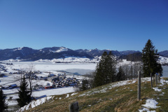 DSC00966