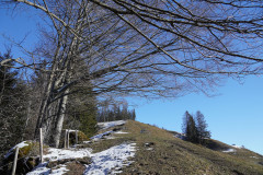 DSC00973