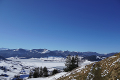 DSC00975
