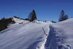 DSC00987