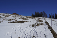 DSC00989