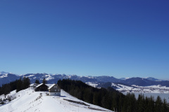 DSC00990