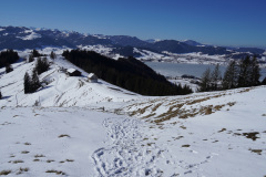 DSC00993