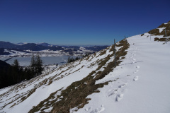 DSC00995