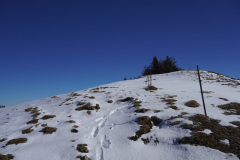 DSC00996