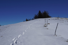 DSC00997