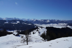 DSC01005