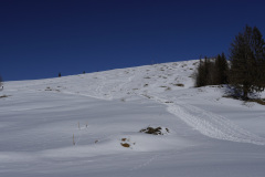 DSC01013