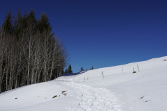 DSC01014