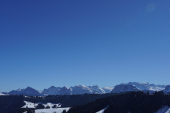 DSC01034