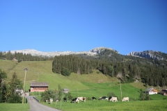 DSCN3771