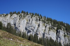 DSCN3784
