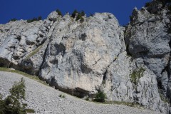 DSCN3785