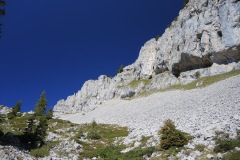 DSCN3786