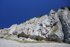 DSCN3787