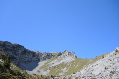 DSCN3790