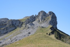 DSCN3806