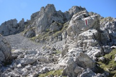 DSCN3808
