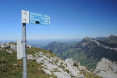 DSCN3820