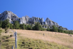 DSCN3827