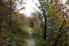 dscn0411