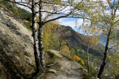 dscn0426