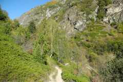 dscn0442