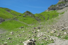 DSCN1927