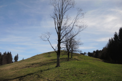 DSCN4446