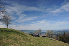 DSCN4449