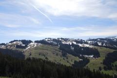 DSCN4450