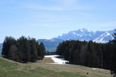 DSCN4451