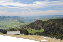 DSCN4455