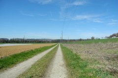 DSCN0451