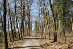 DSCN0454
