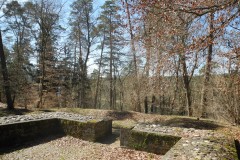 DSCN0458