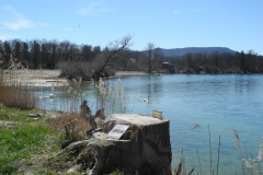 DSCN0469