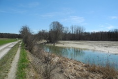 DSCN0472